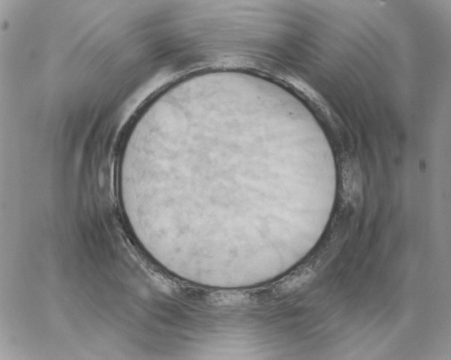 X0000064040886200602242318