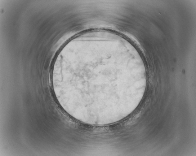 X0000064040887200602242318