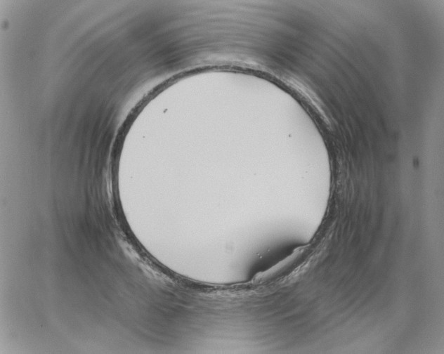 X0000064040888200602242318