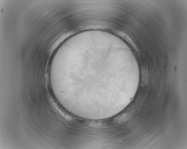 X0000064040890200602242318