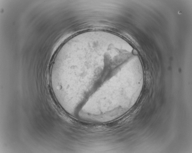 X0000064040891200602242318