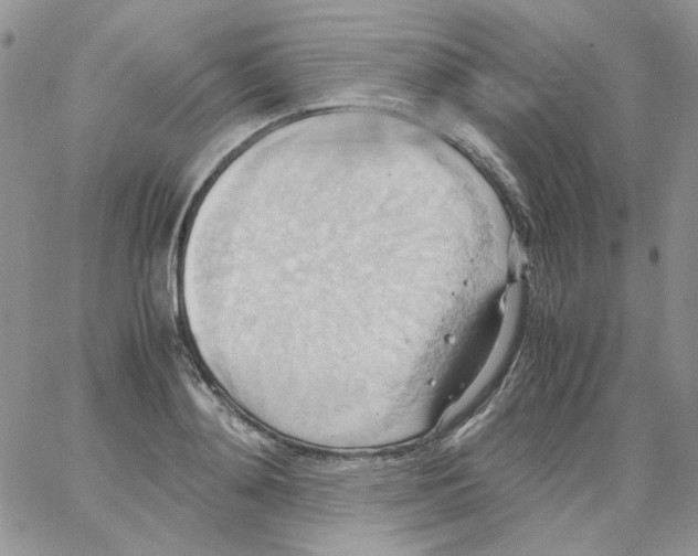 X0000064040892200602242318