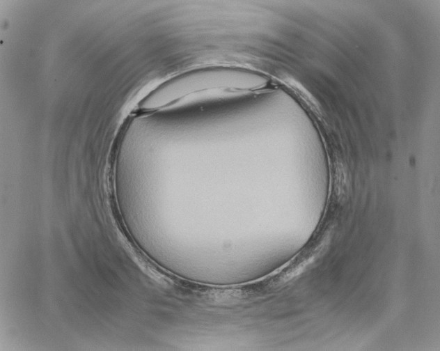 X0000064040893200602242318