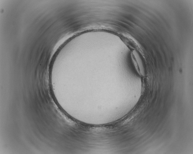 X0000064040894200602242317