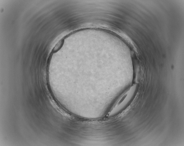 X0000064040896200602242317