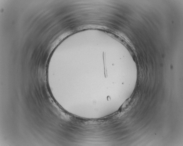 X0000064040898200602242317