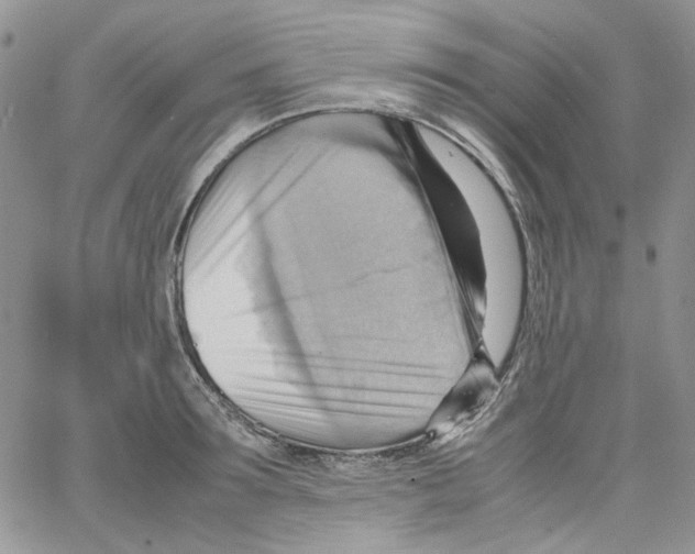 X0000064040899200602242317