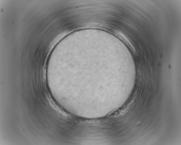 X0000064040900200602242317