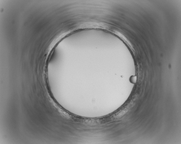 X0000064040901200602242317