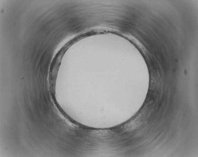 X0000064040902200602242317