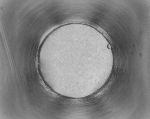 X0000064040904200602242317