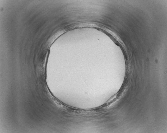 X0000064040905200602242317