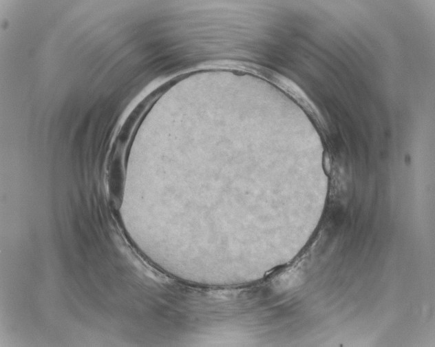 X0000064040908200602242317