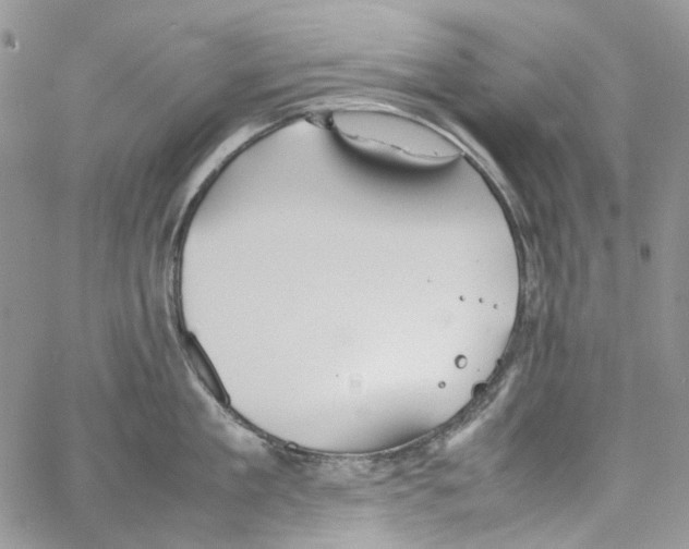 X0000064040909200602242317