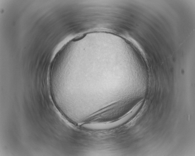 X0000064040910200602242317