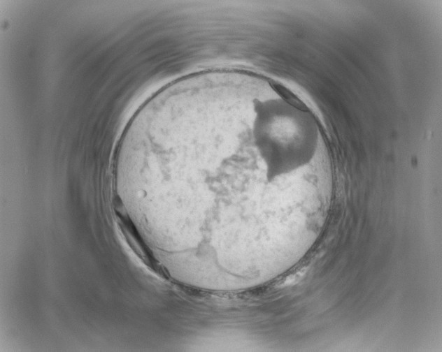 X0000064040911200602242317