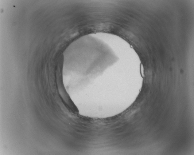 X0000064040913200602242316