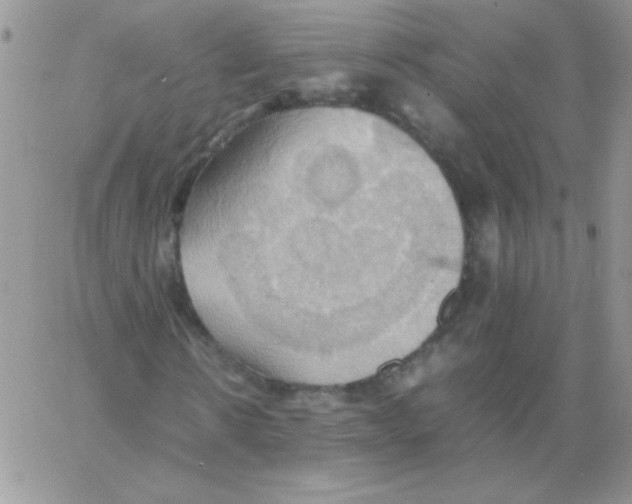 X0000064040914200602242316