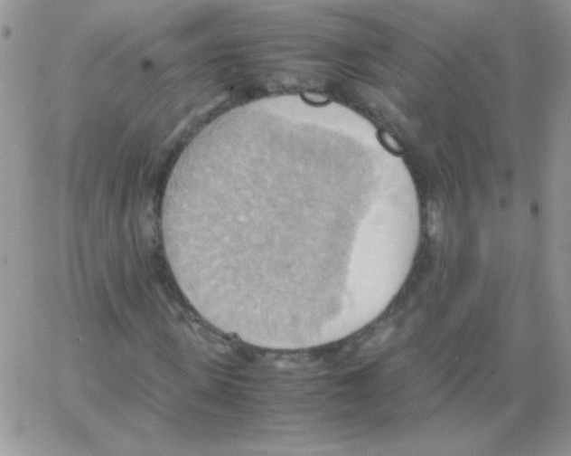 X0000064040915200602242316