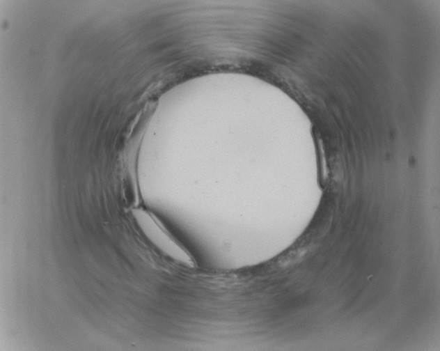 X0000064040916200602242316