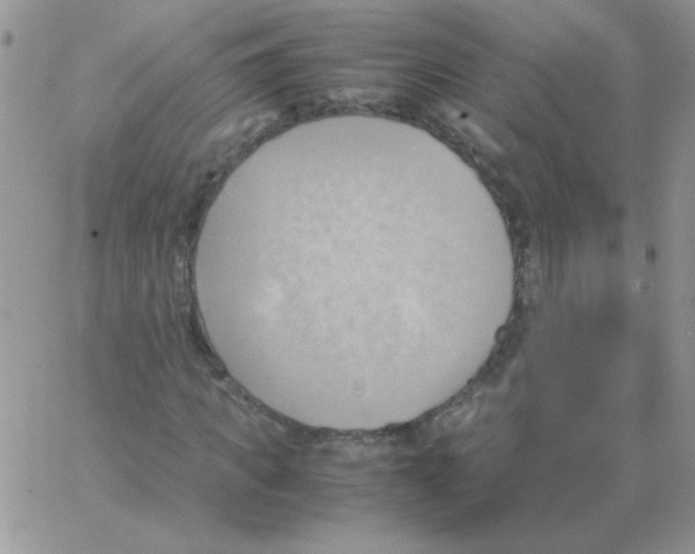 X0000064040917200602242316