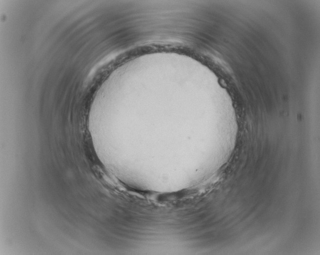 X0000064040920200602242317