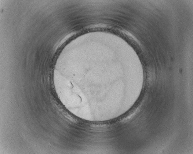 X0000064040921200602242317