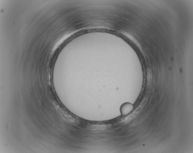 X0000064040925200602242317