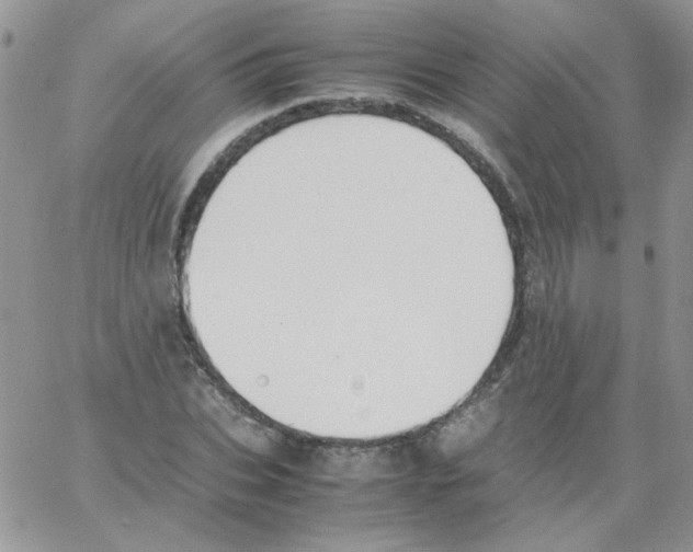 X0000064040927200602242317