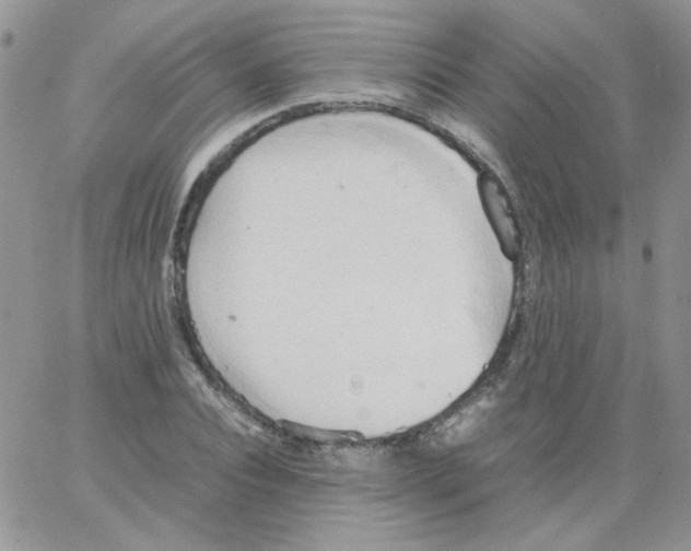 X0000064040928200602242317