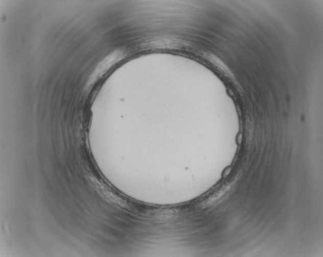 X0000064040930200602242317