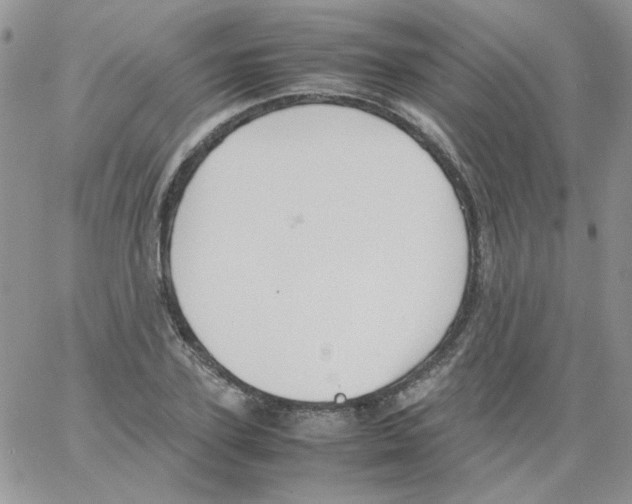 X0000064040931200602242317