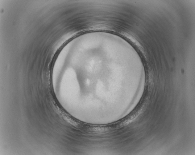 X0000064040933200602242317