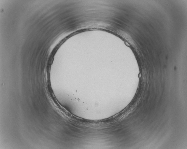 X0000064040936200602242317