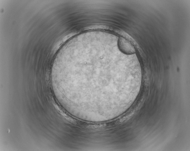 X0000064040937200602242317