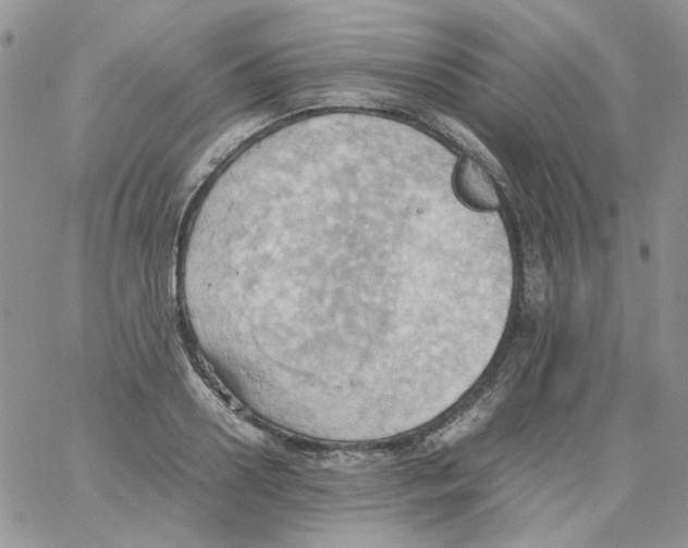 X0000064040938200602242317