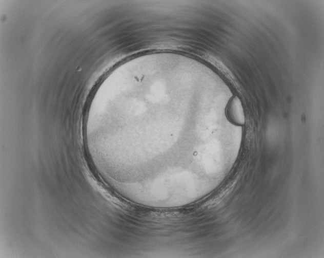 X0000064040939200602242317