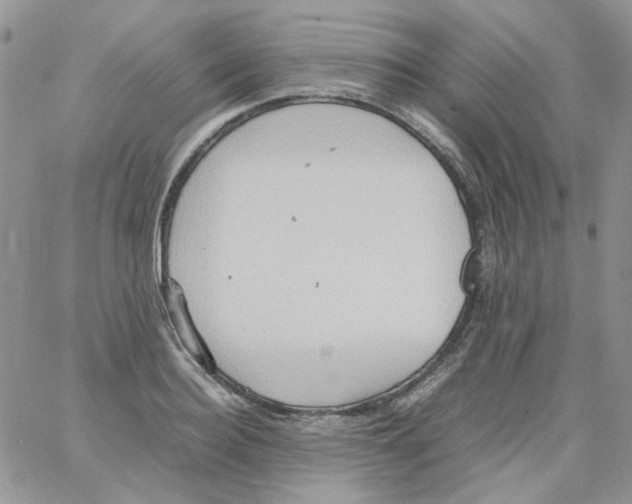 X0000064040940200602242317