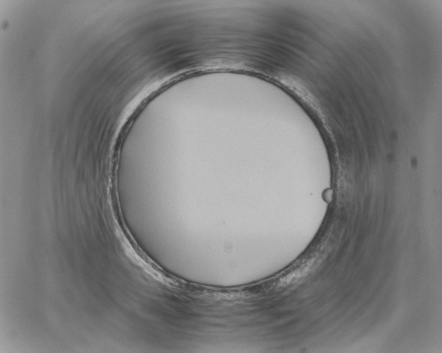 X0000064040941200602242317