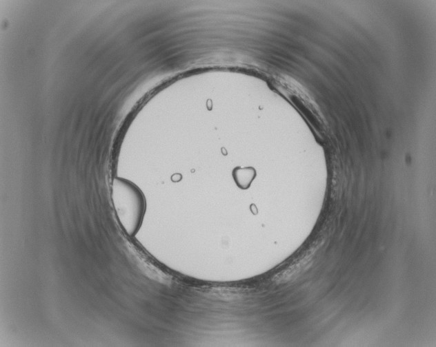 X0000064040942200602242317