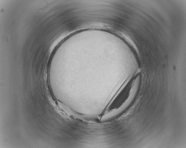 X0000064040944200602242317