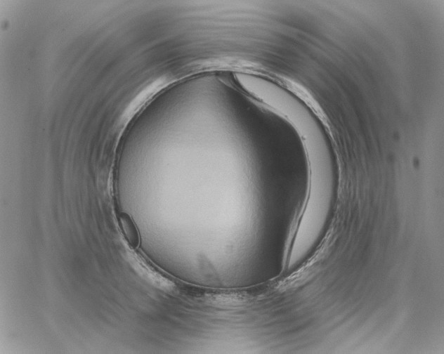 X0000064040946200602242317