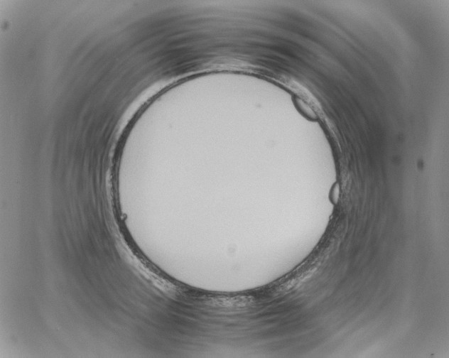 X0000064040947200602242317