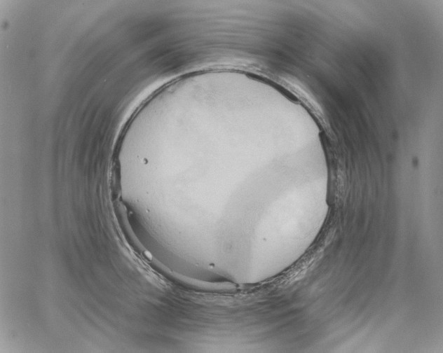 X0000064040948200602242317