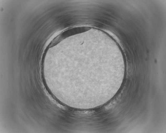 X0000064040949200602242317