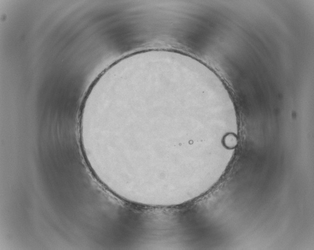 X0000064040950200602242317