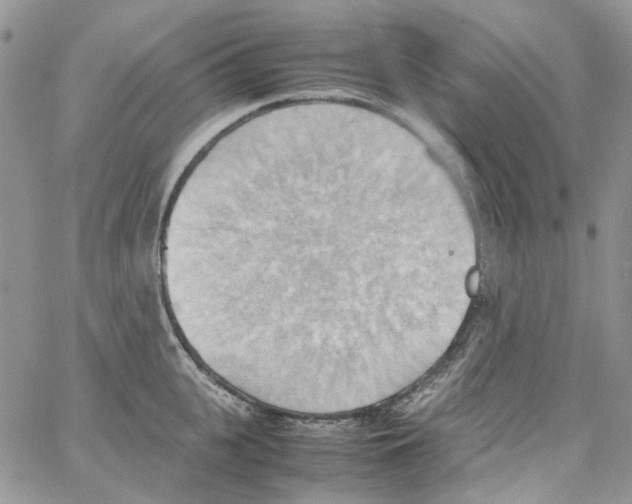 X0000064040951200602242317