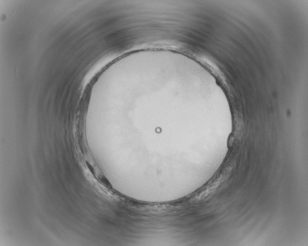 X0000064040952200602242317