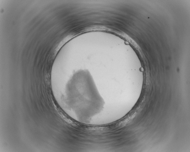 X0000064040953200602242317