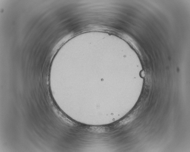 X0000064040954200602242317